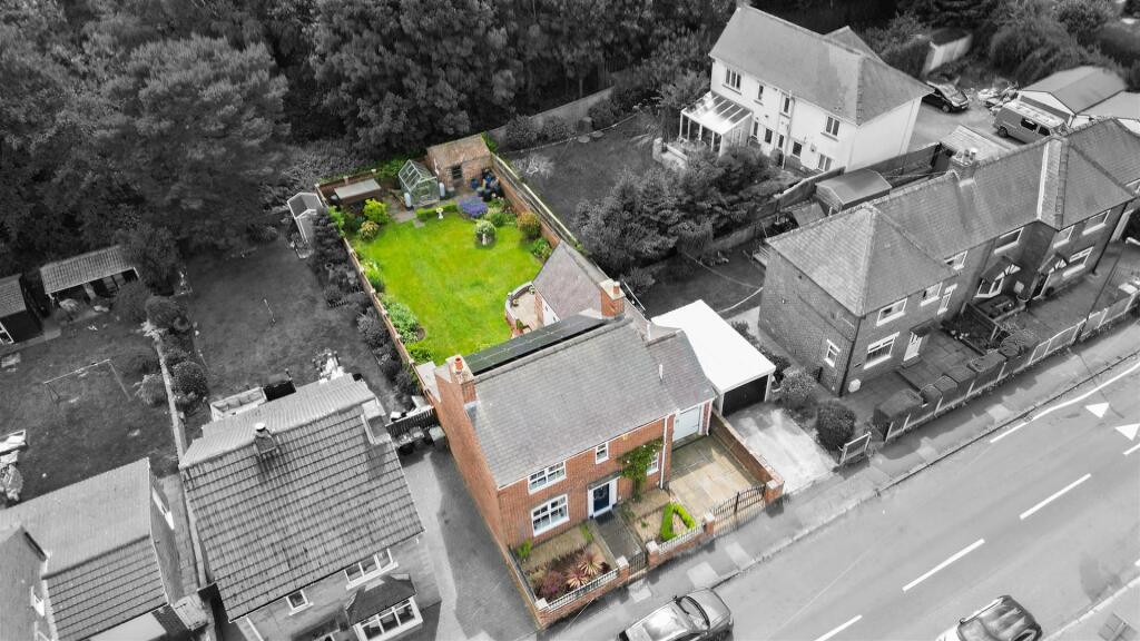 DJI_0548_1-1.jpg