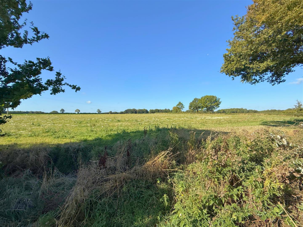 Field Views to Rear