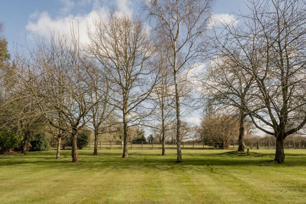 Grounds