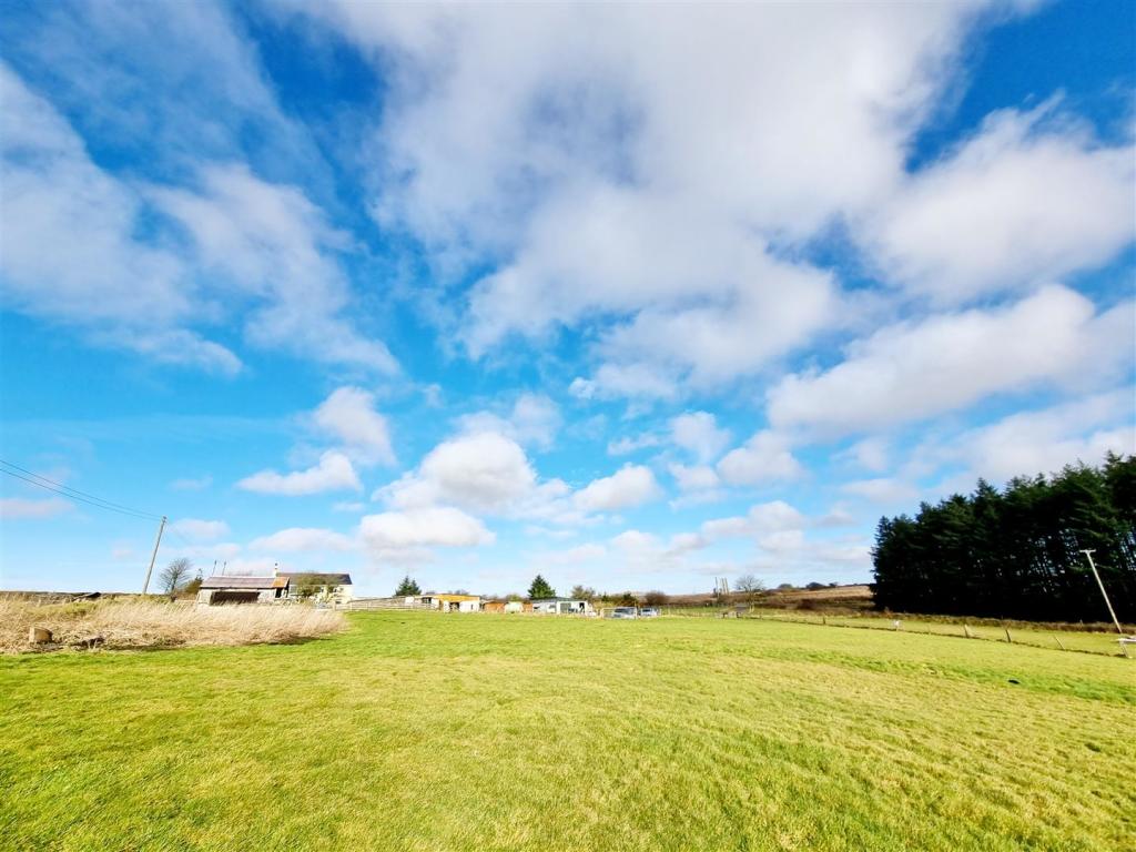 Top Field