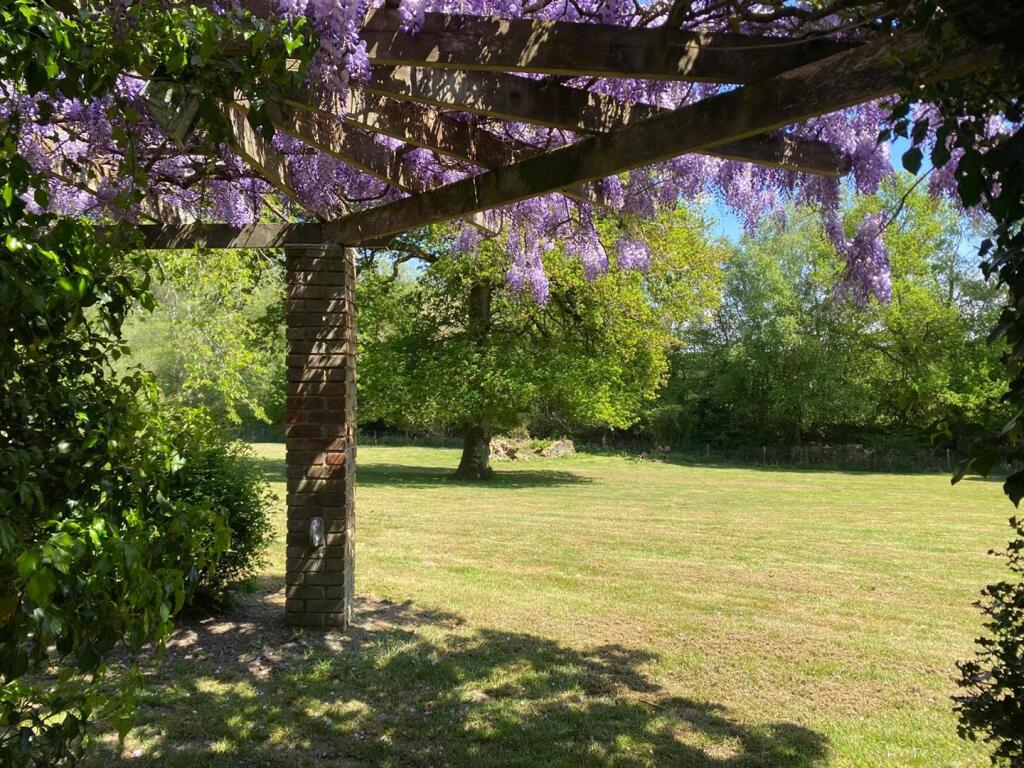 wistera 4.jpg