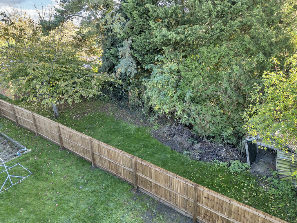 DJI_0469