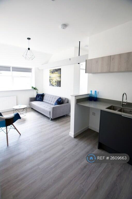 Kitchen / Living Area