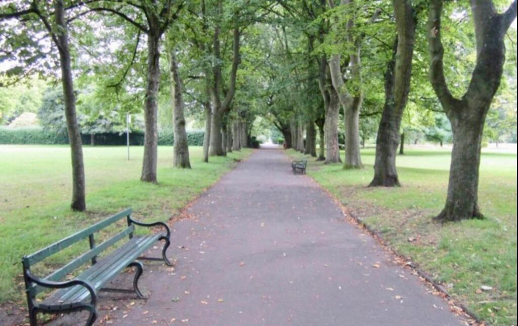 WhatsApp Image 2025-09-25 at 10.36.01_5694d27f.jpg