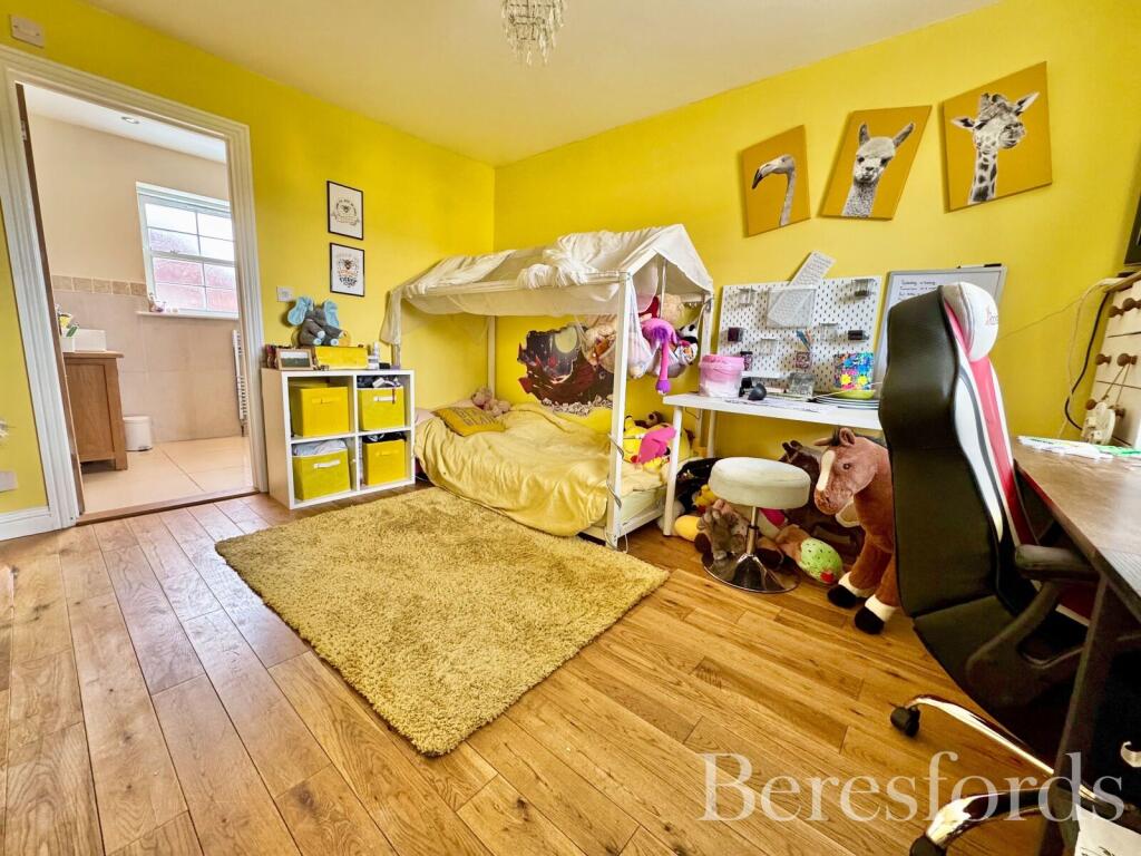 Picture 11