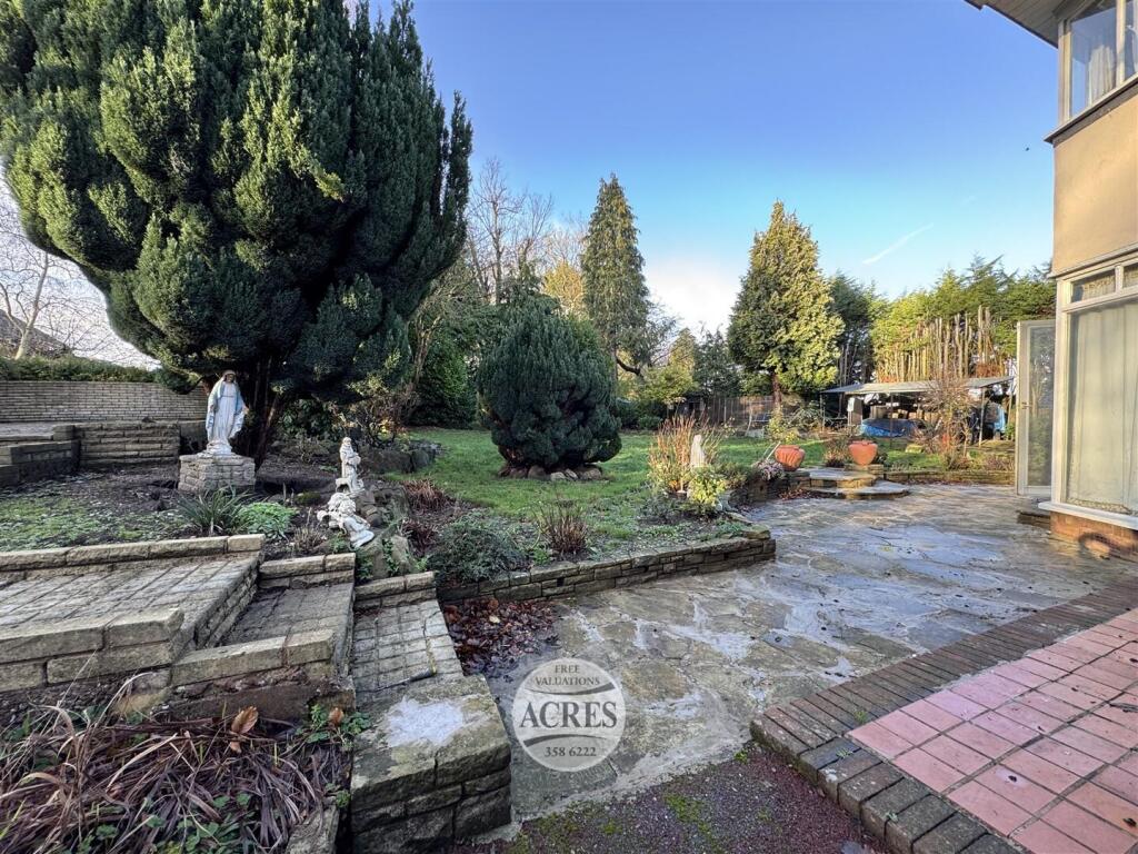 IMG_7300 (Large).jpg