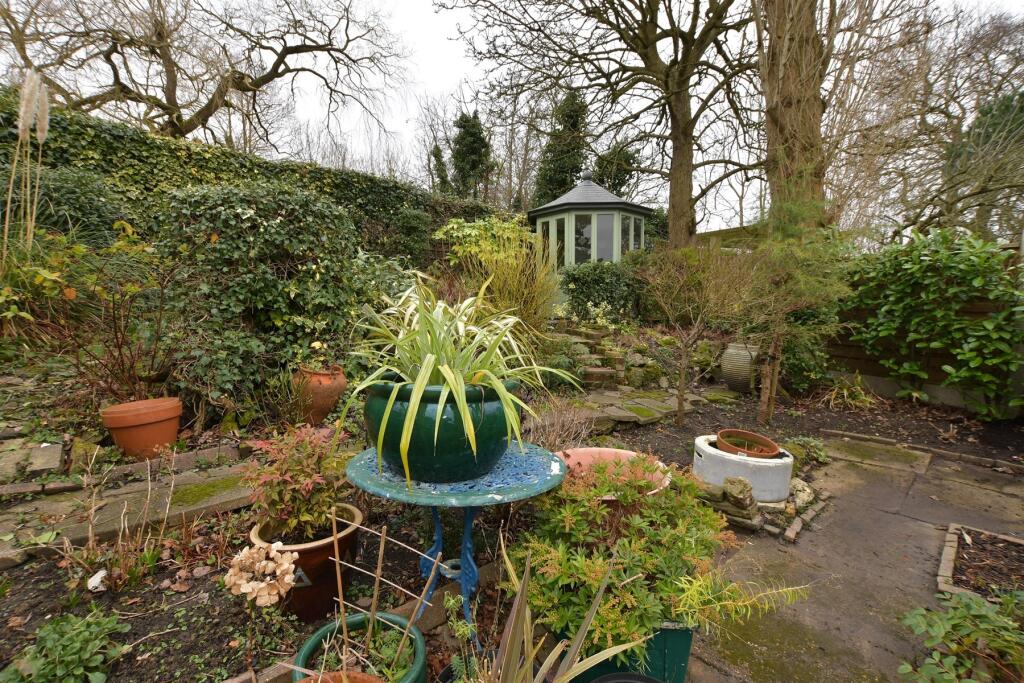 Rear Garden (Original)