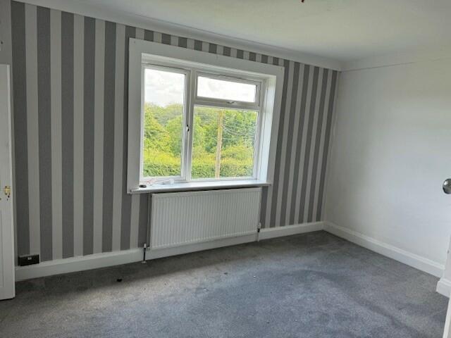 9 (Small) T202407031121.jpg
