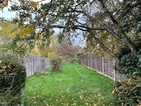 Garden . T202511061501.jpg