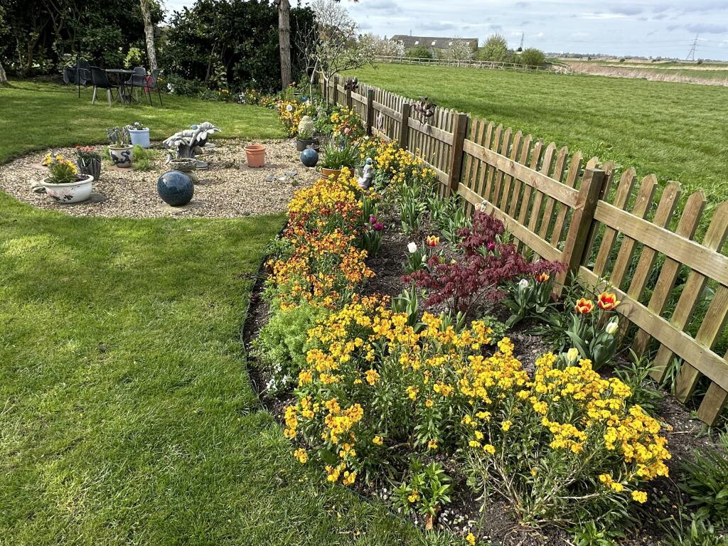 Garden 4.JPG