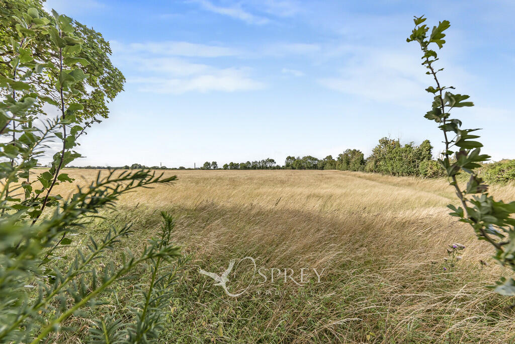 Countryside Views...