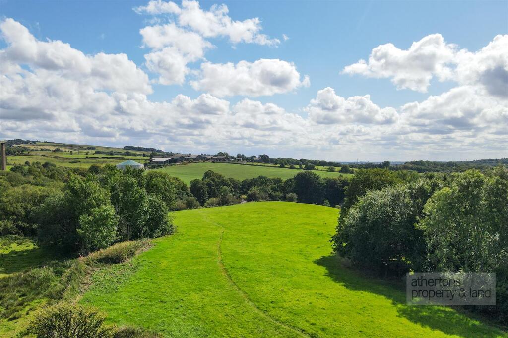 DJI_0203.jpg