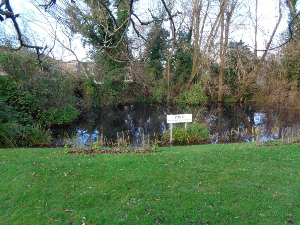Regatta Court Pond