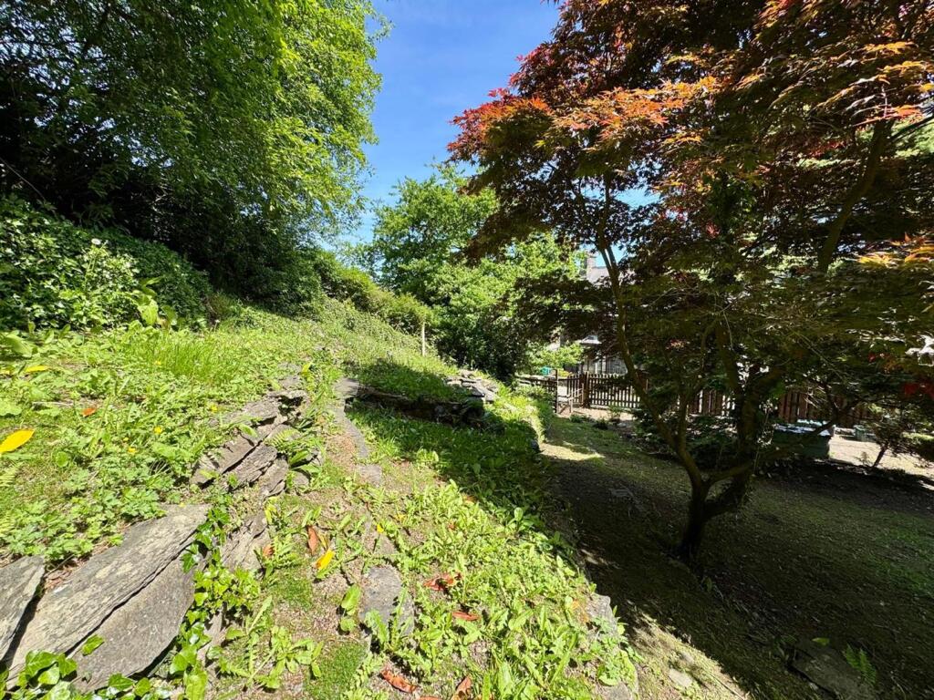 PHOTO-2025-05-16-06-38-10 (18).jpg