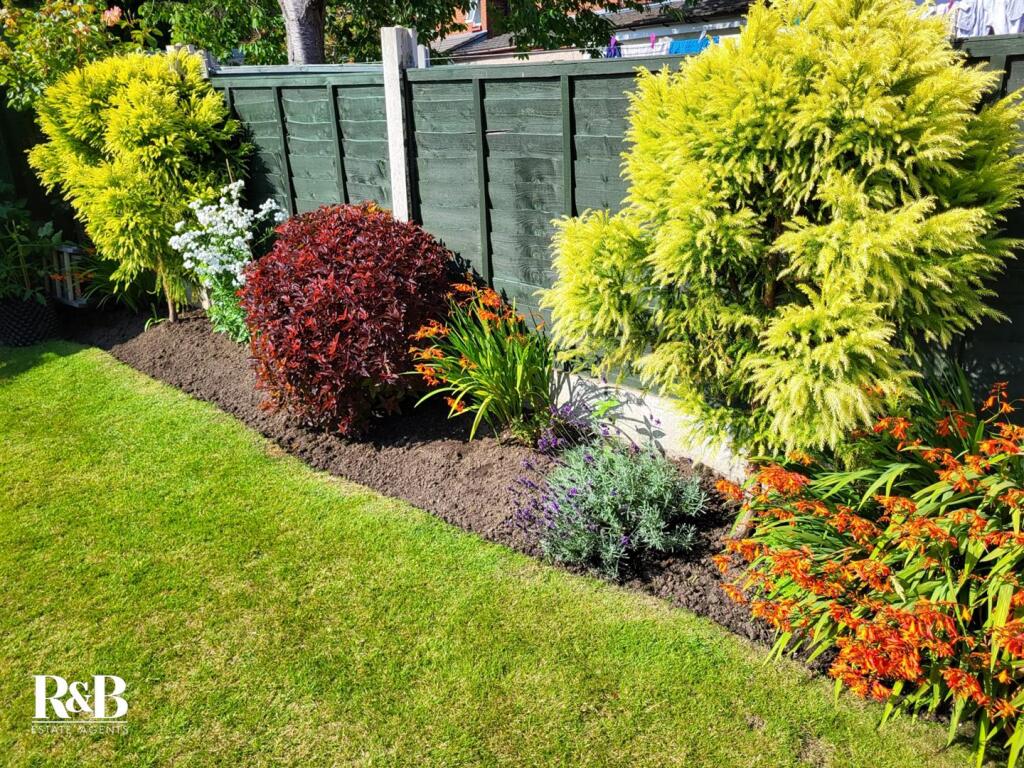 20250716_165239_resized - Copy.jpg