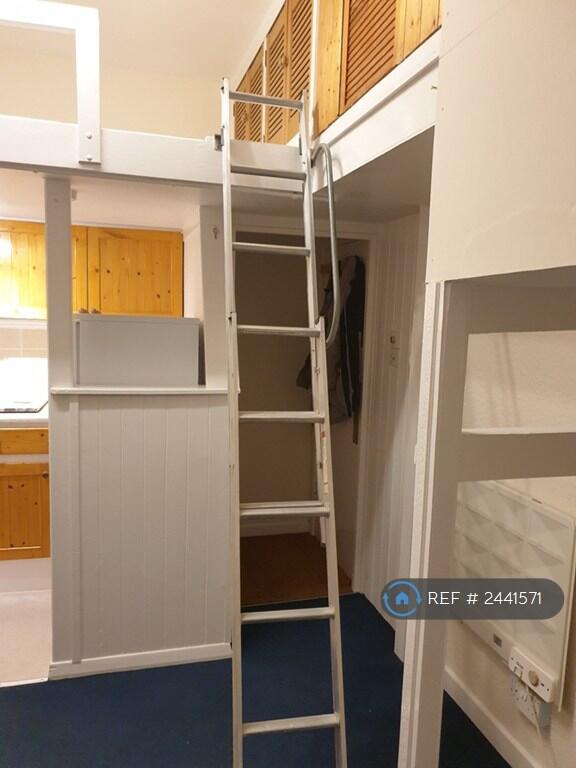 Loft Ladder In The Down Position