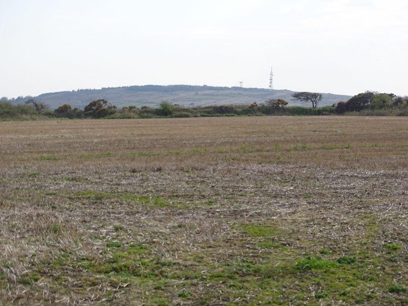 field b