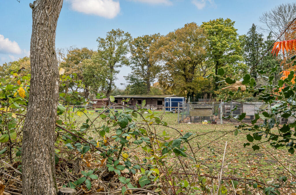 1375827-31-690ca4...