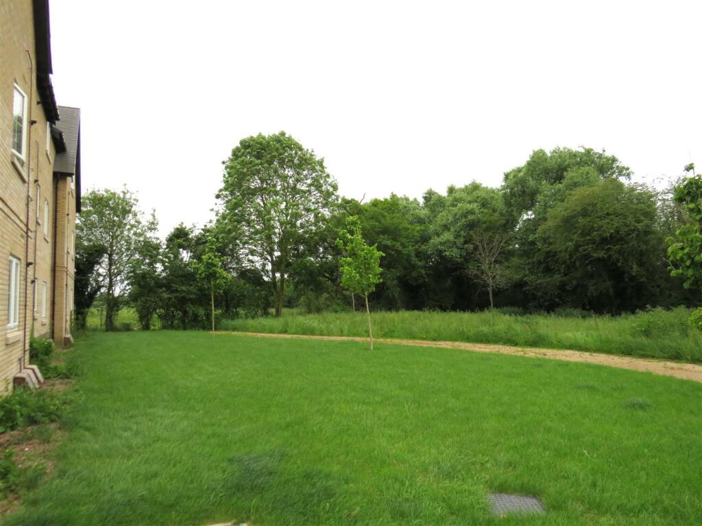 Outside Area