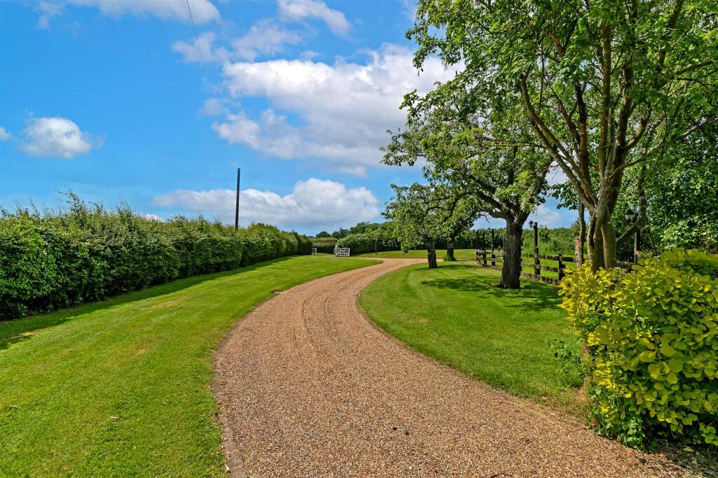 TheGreens-19.jpg