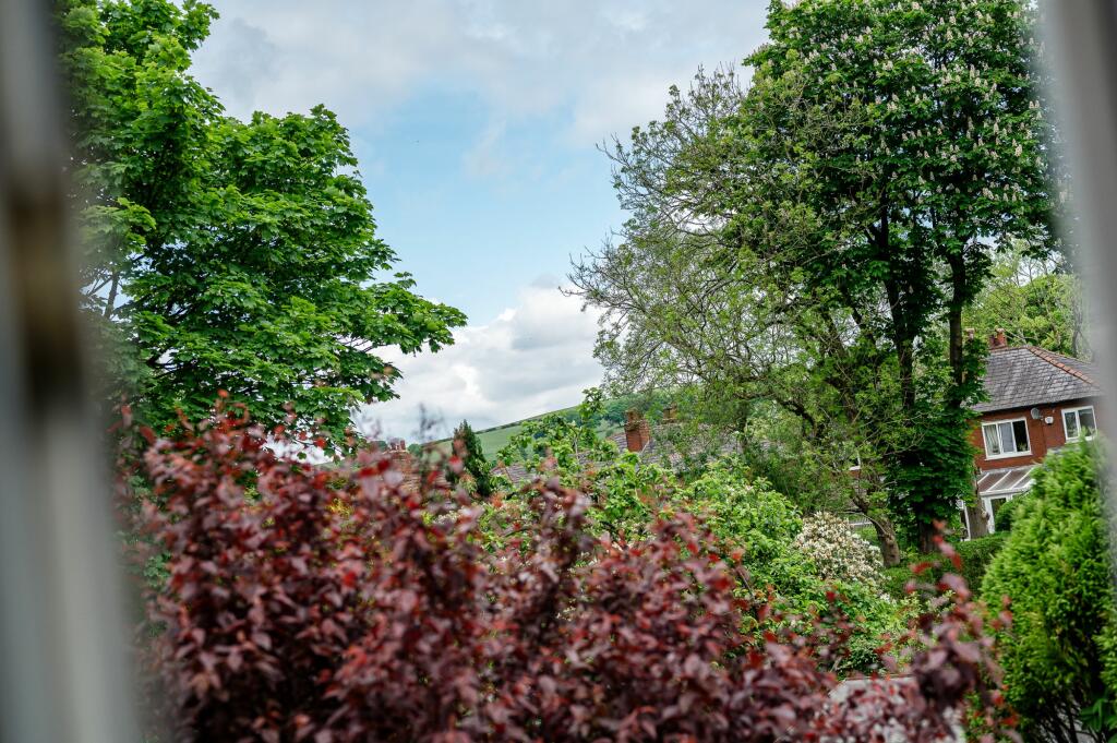 View from Master Bedroom