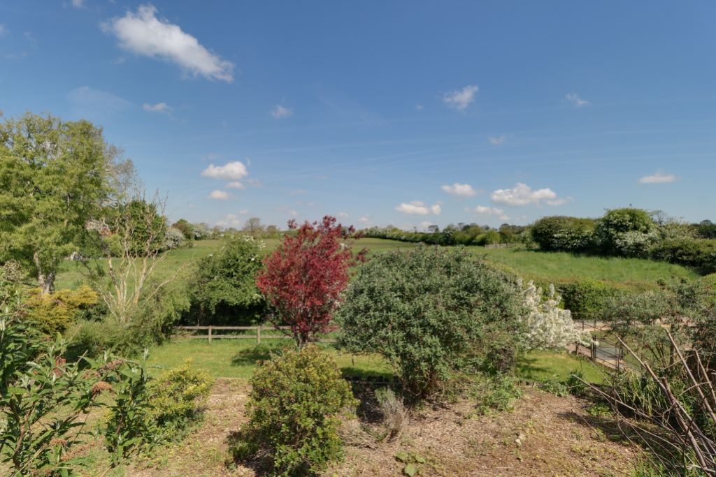 Back Garden