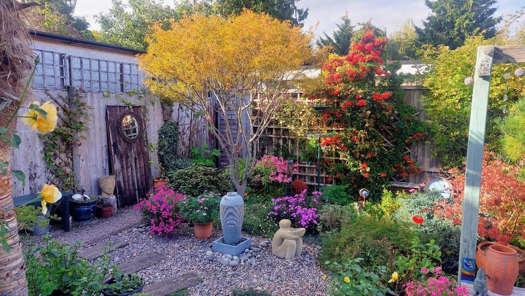 Pretty courtyard garden
