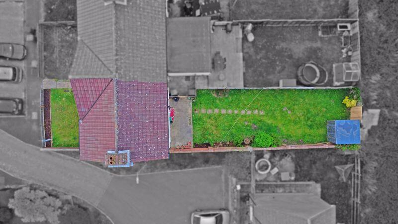 Plot View