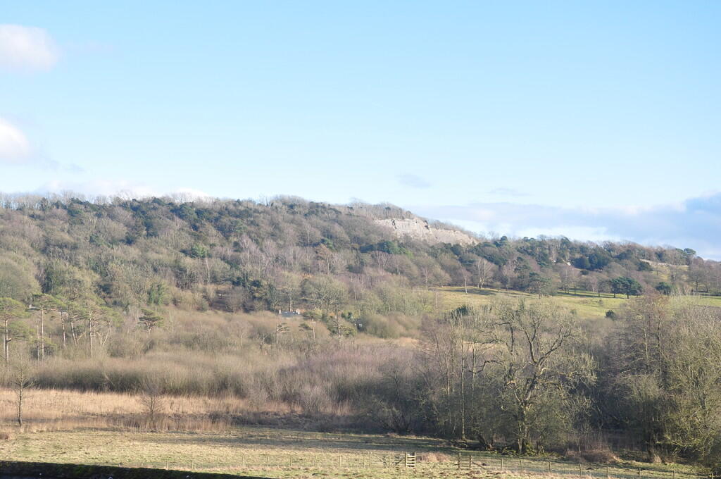 Views of Trowbarr...