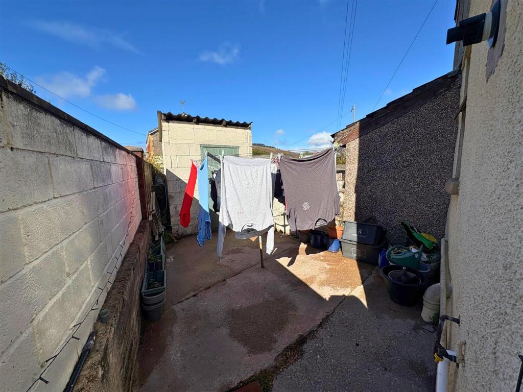 Rear Yard (edit).jpg