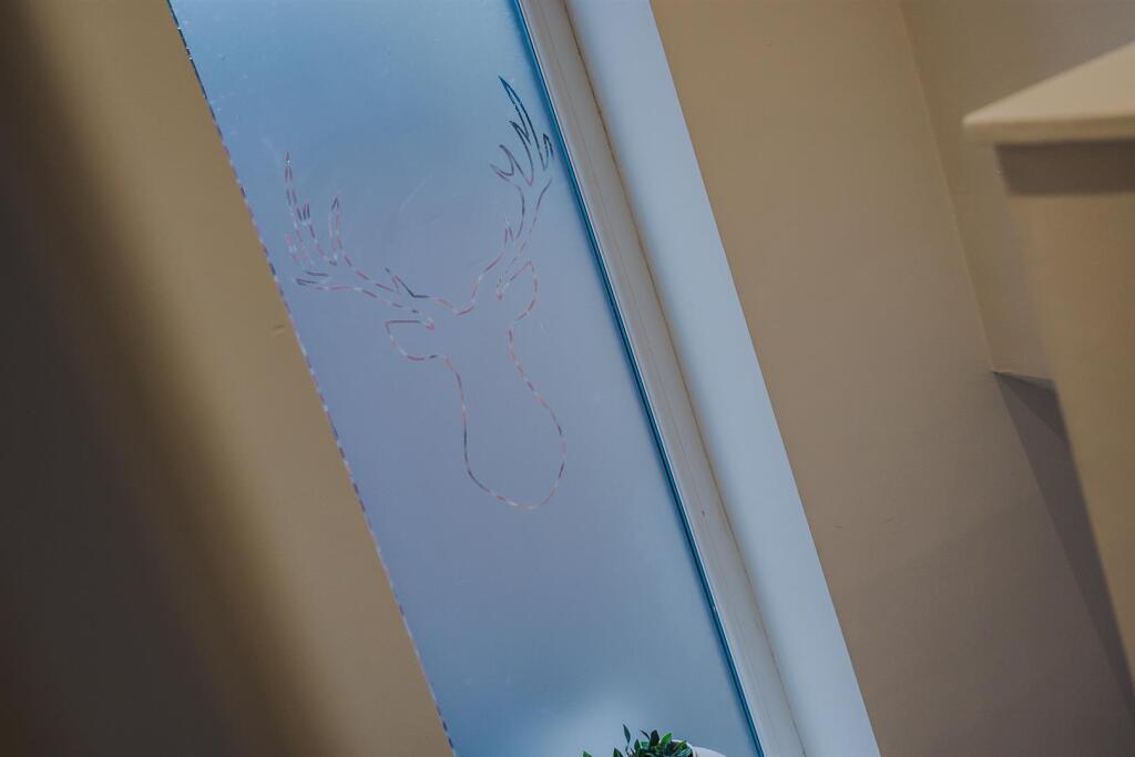 DSC_3927.jpg