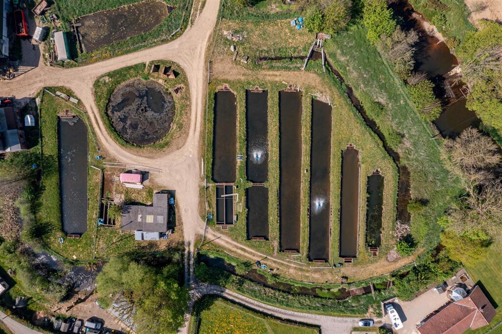 DJI_0372-HDR.jpg