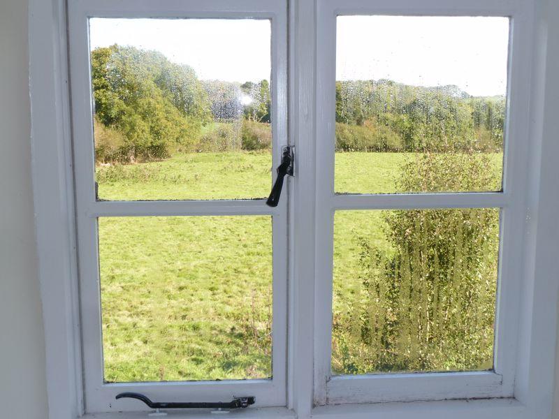 View from Meadow View