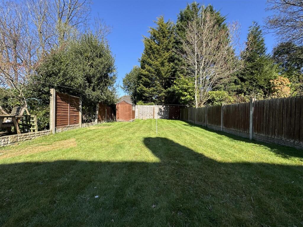 IMG_8965 (Large).JPG