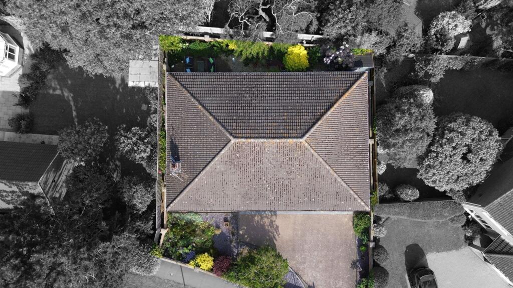 Aerial Shot