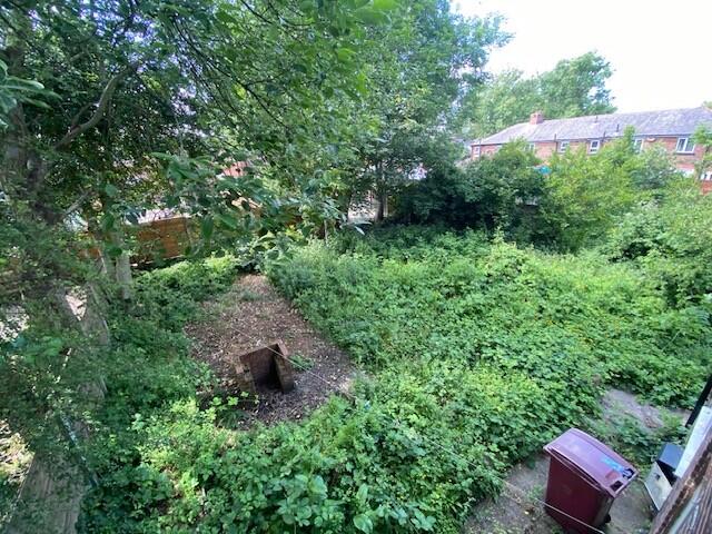 Garden 1 T202506191519.jpg