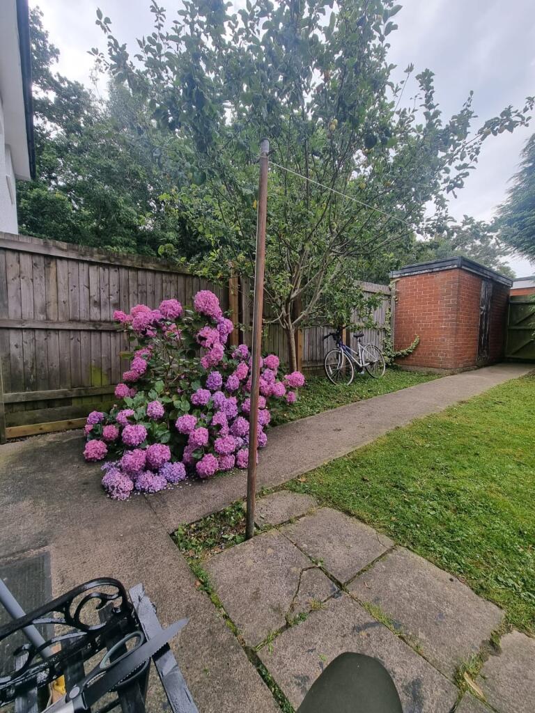 A well-maintained garden with vibrant pink and ...