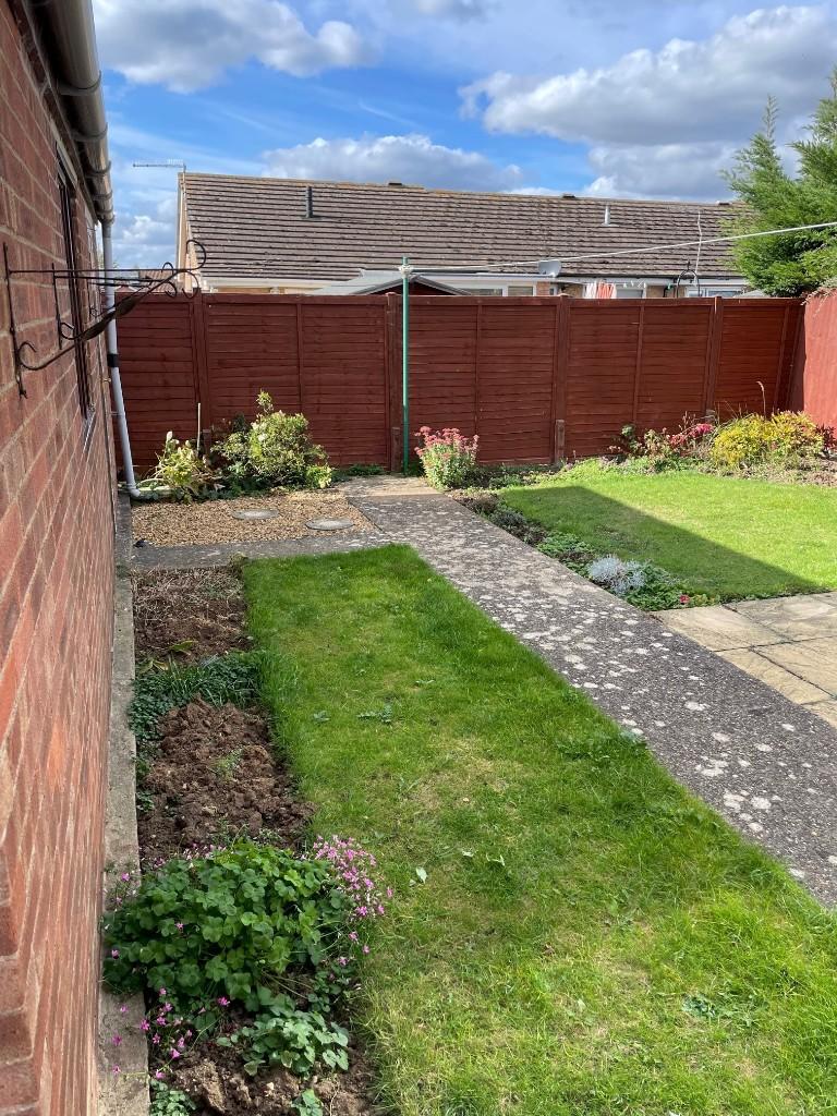 Rear Garden II