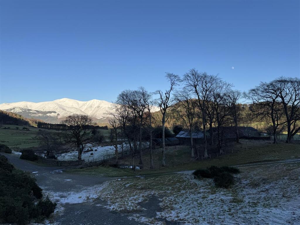 IMG_4415.jpeg