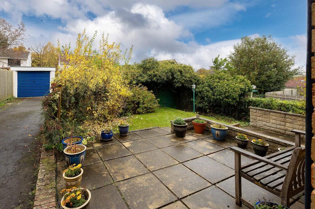 Back Garden