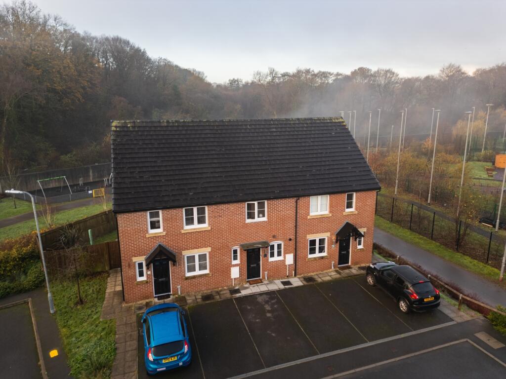 Hoelion Grove-2