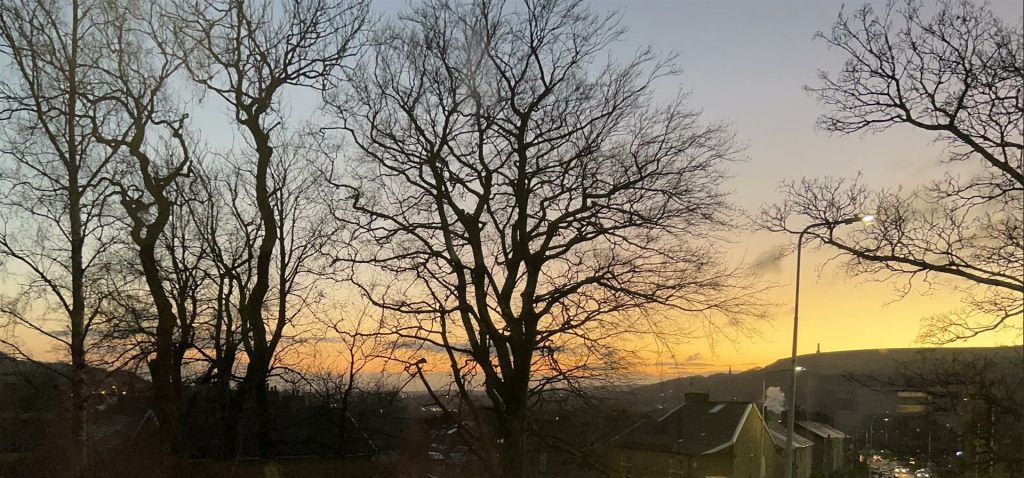 MERLEWOOD EXTRA PICS 2.png