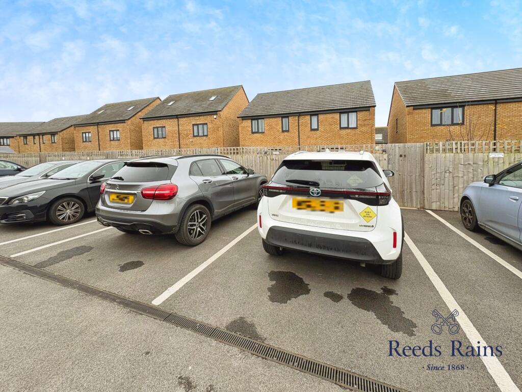 Rear Parking