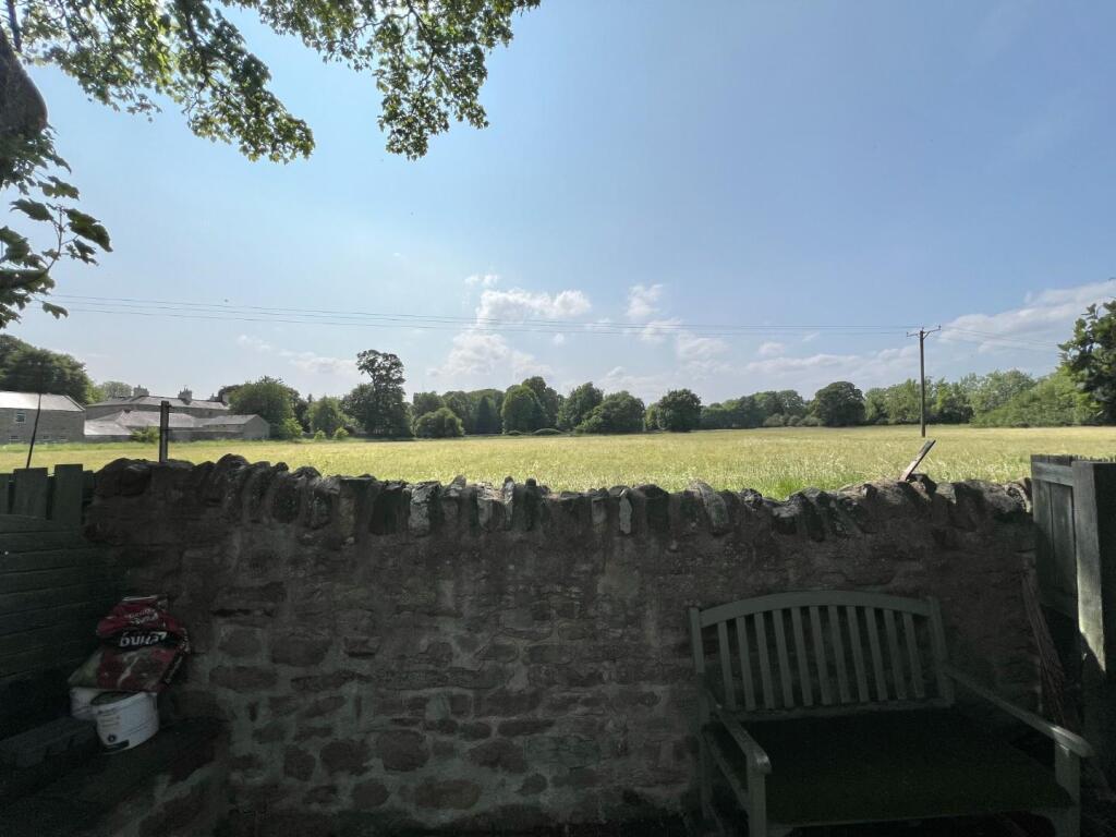 IMG_2827.JPEG