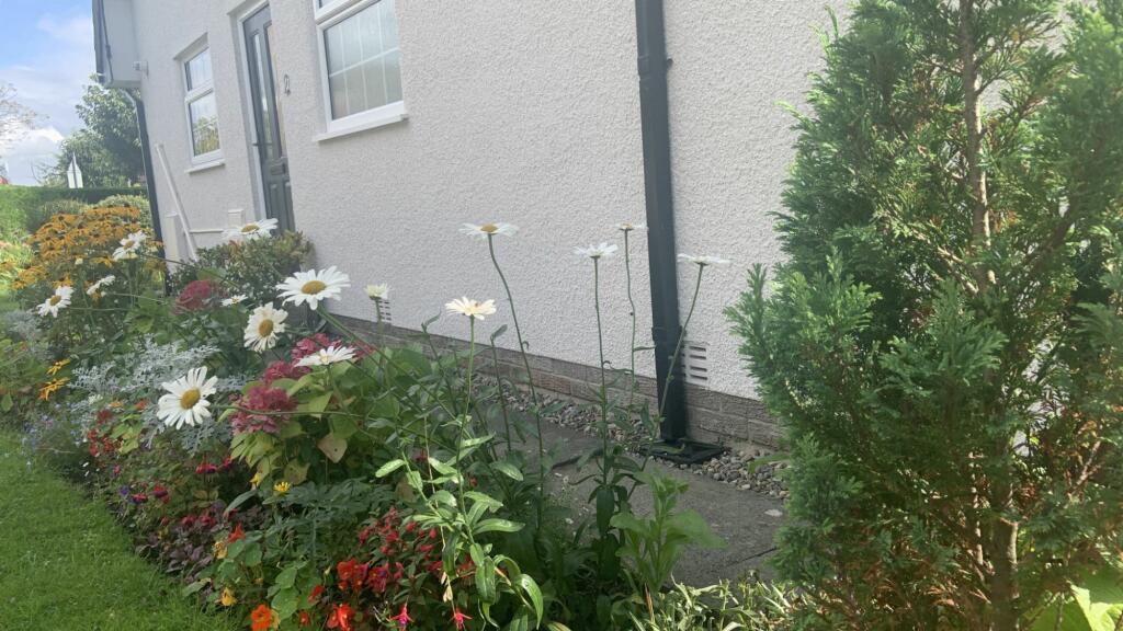 Side garden