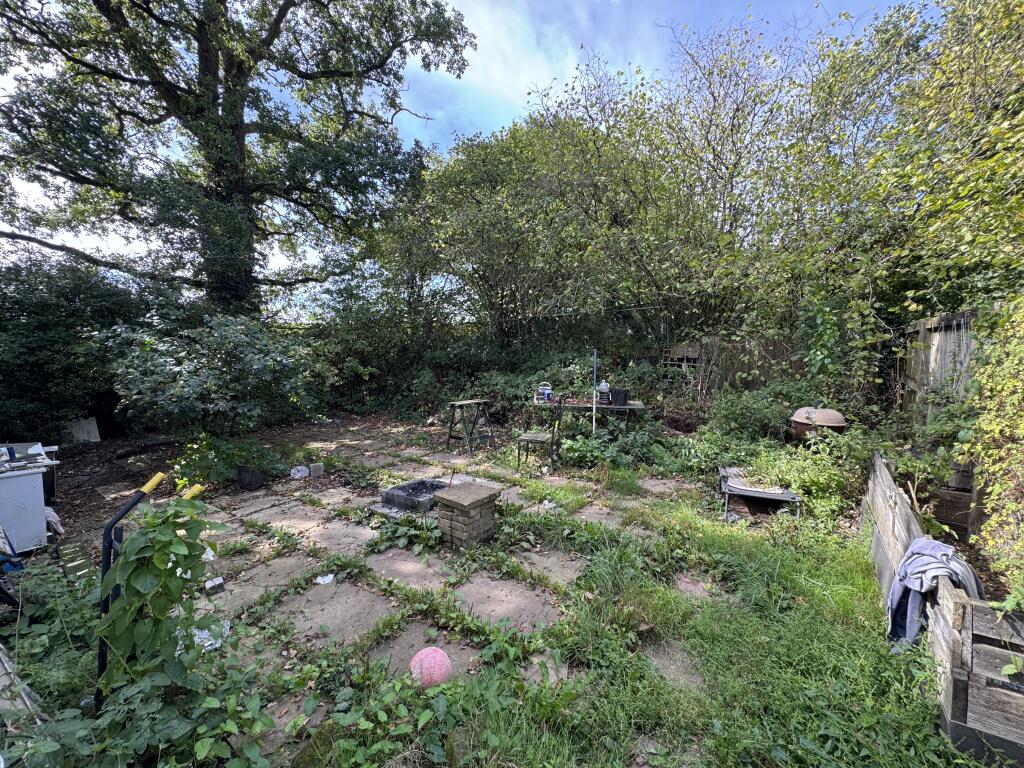 IMG 1829 T202509101641.jpeg