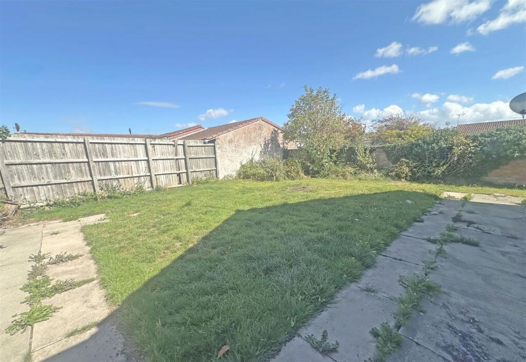 Back Garden.jpg