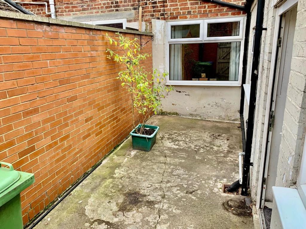 Rear Yard