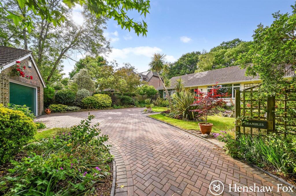 sketch_Ph14_6001642 - Copy - Copy.jpg