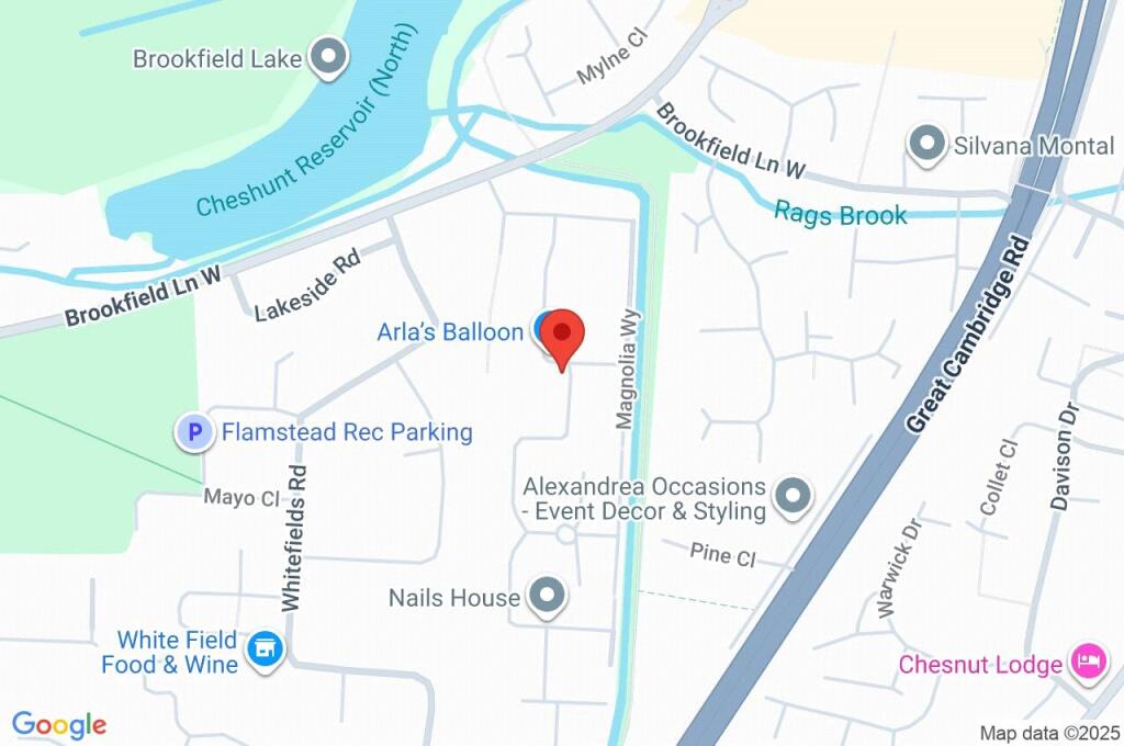 Google Maps Image